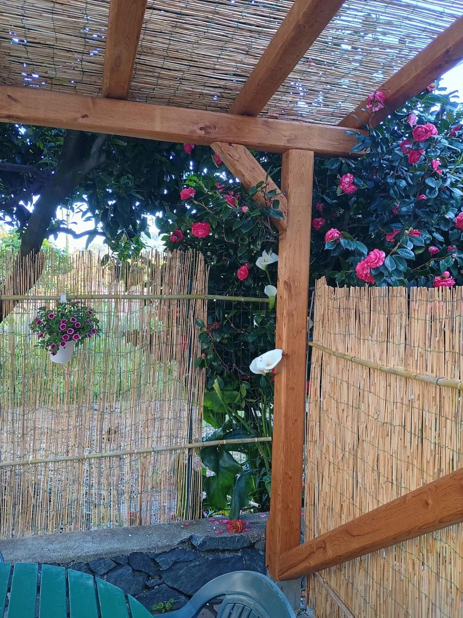 فيلا La Casa Dei Due Aranci ألبيسولا سوبيريوري المظهر الخارجي الصورة