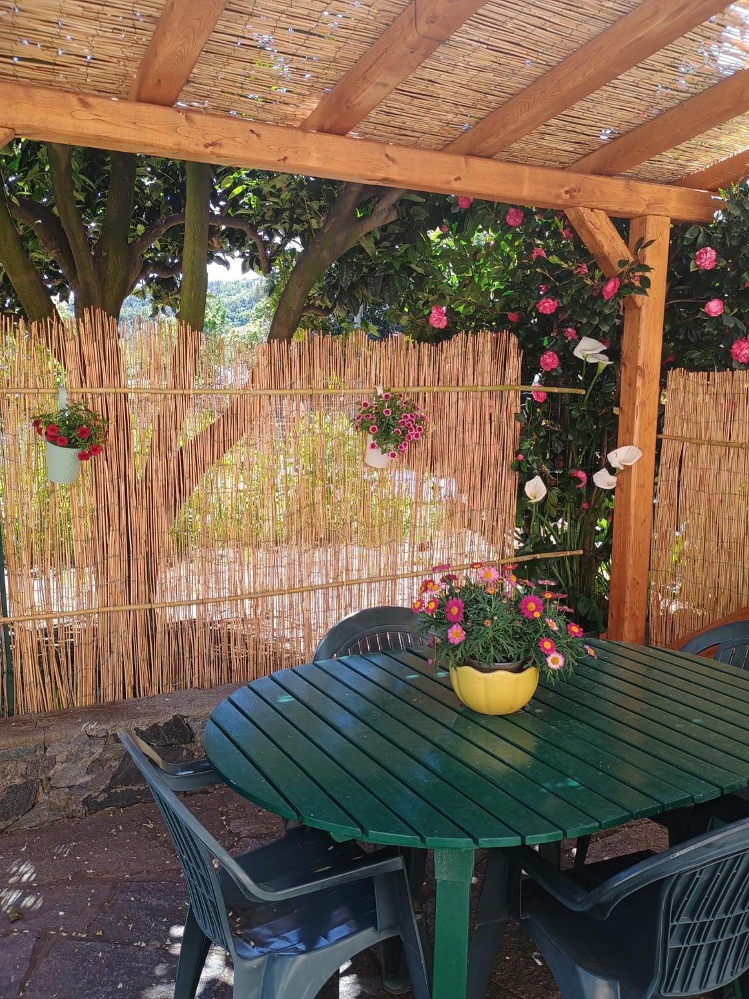 فيلا La Casa Dei Due Aranci ألبيسولا سوبيريوري المظهر الخارجي الصورة